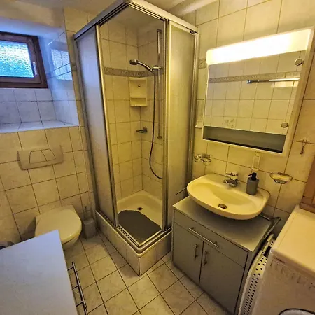 Apartman Le Moulin 74 By Interhome Grimentz